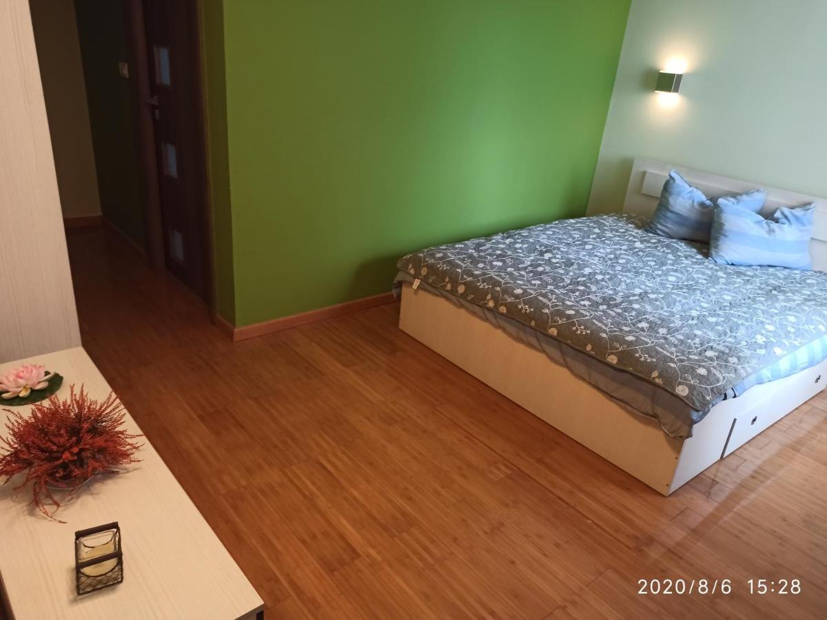 Casa Tiky Timişoara Exterior foto